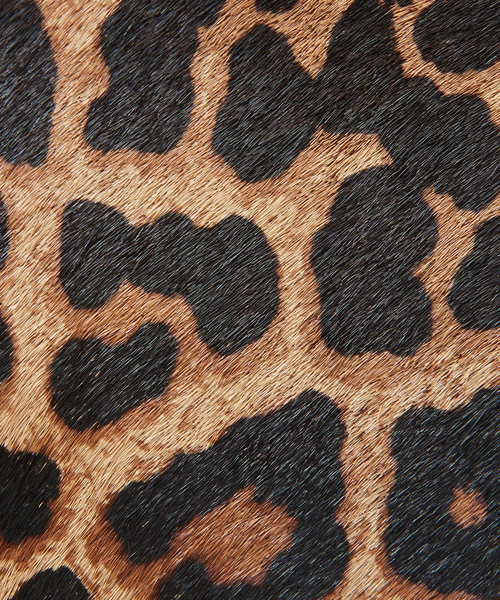 Rouge vif（ルージュヴィフ）の「【mica della valle】Cubetto 別注レオパード 2WAYショルダーバッグ（ショルダーバッグ・レディース・ブラウン・フリー）」の18枚目の写真