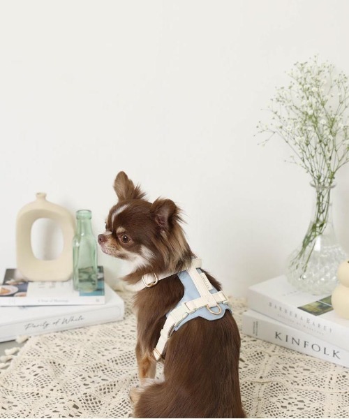 PUレザーテープハーネス+リードSET（リード/ハーネス/首輪）｜moncheri（モンシェリ）