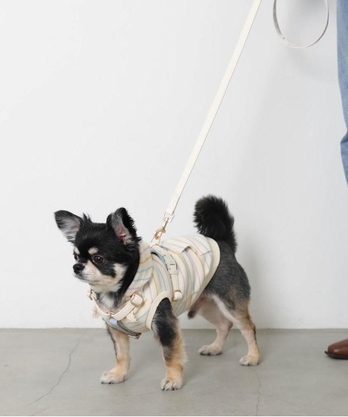 PUレザーテープハーネス+リードSET（リード/ハーネス/首輪）｜moncheri（モンシェリ）