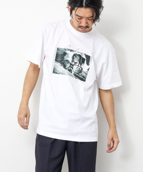NOLLEY'S goodman（ノーリーズグッドマン）の「GOODMAN CAT&DOG photo T-shirts フォトプリントTシャツ（Tシャツ/カットソー・メンズ・オフホワイト/チャコールグレー/ホワイト/キナリ/マスタード/インディゴブルー/ブラック系その他・S/M/L）」の16枚目の写真