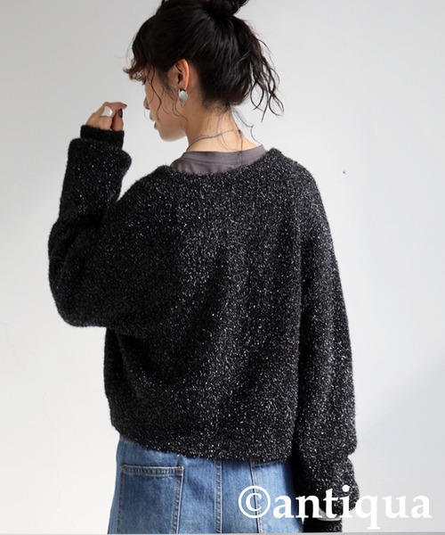 antiqua(アンティカ)の「ガラスヤーンニットカーディガン(ニット/セーター・レディース・ブラック/ダークグレー・ONESIZE)」の4枚目の写真