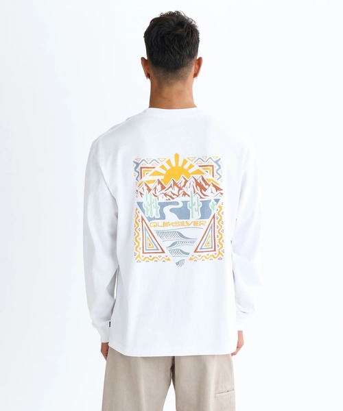 DESERT WAVES LT/クイックシルバーバックプリント長袖ロンT（Tシャツ