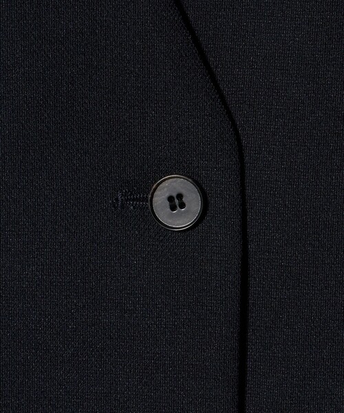A DAY IN THE LIFE UNITED ARROWS(アデイインザライフユナイテッドアローズ)の「メッシュ 2ボタン ジレ ‐セットアップ対応・ウォッシャブル‐<A DAY IN THE LIFE>(ベスト・レディース・ネイビー/ベージュ/ダークグレー・FREE)」の17枚目の写真