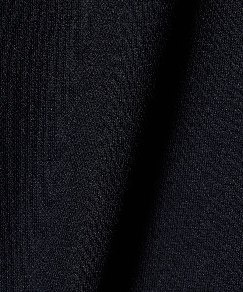 A DAY IN THE LIFE UNITED ARROWS(アデイインザライフユナイテッドアローズ)の「メッシュ 2ボタン ジレ ‐セットアップ対応・ウォッシャブル‐<A DAY IN THE LIFE>(ベスト・レディース・ネイビー/ベージュ/ダークグレー・FREE)」の15枚目の写真