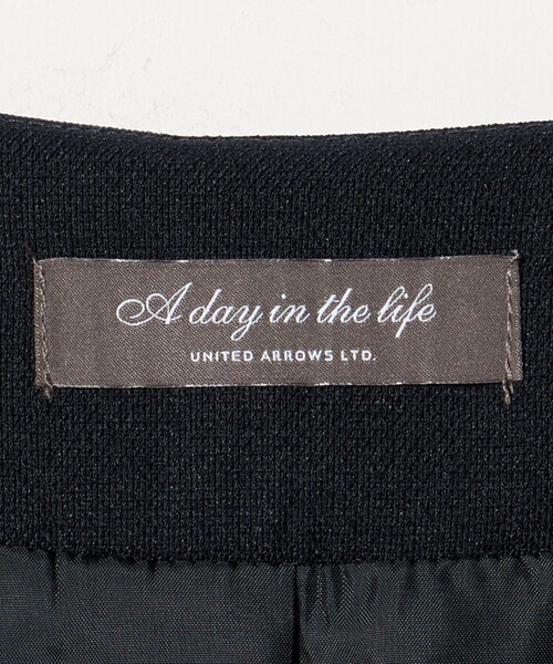 A DAY IN THE LIFE UNITED ARROWS(アデイインザライフユナイテッドアローズ)の「メッシュ 2ボタン ジレ ‐セットアップ対応・ウォッシャブル‐<A DAY IN THE LIFE>(ベスト・レディース・ネイビー/ベージュ/ダークグレー・FREE)」の7枚目の写真