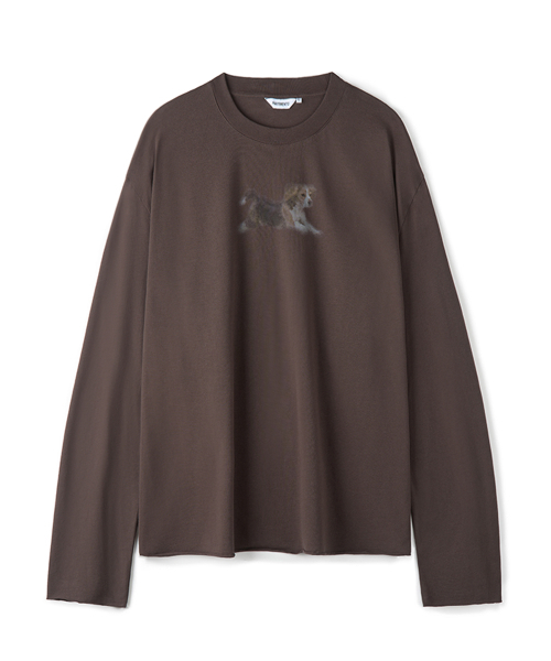 PARTIMENTO(パルティメント)の「フェイドペット ロングスリーブ ブラウン(Tシャツ/カットソー・メンズ・その他・MEDIUM/LARGE)」の1枚目の写真