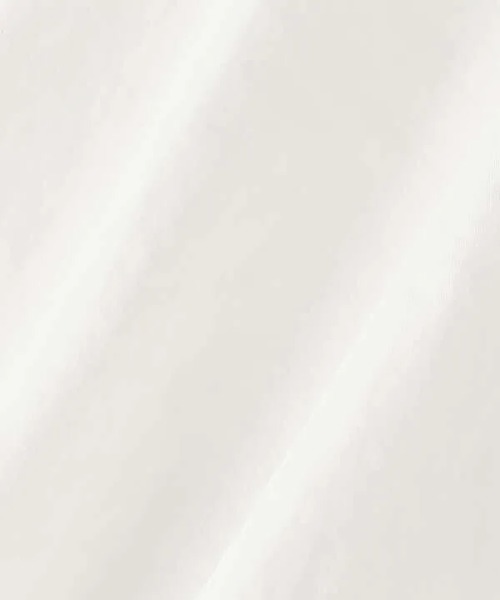 N.(N. Natural Beauty Basic)(エヌエヌナチュラルビューティーベーシック)の「◆スタンドネックフリル長袖ブラウス(シャツ/ブラウス・レディース・ブラック/オフホワイト/ブルー/ブルー系その他・MEDIUM)」の19枚目の写真