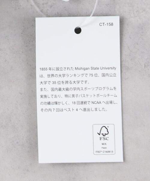 Champion(チャンピオン)の「Champion(チャンピオン)T1011プリントTシャツ(Tシャツ/カットソー・メンズ・グリーン・M/L/XL)」の18枚目の写真