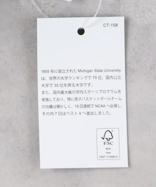 Champion（チャンピオン）の「Champion(チャンピオン)Ｔ１０１１プリントＴシャツ（Tシャツ/カットソー・メンズ・グリーン・M/L/XL）」の4枚目の写真