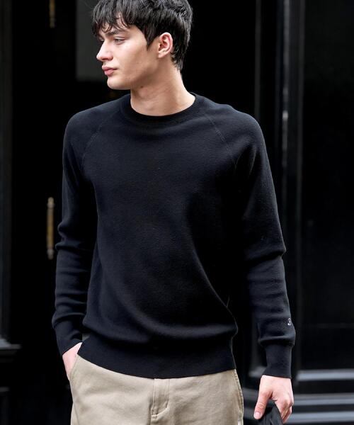 DRESSTERIOR（ドレステリア）の「ウォッシャブル コットンカシミヤスムースニット（ニット/セーター・メンズ・ブラック/レッド系1/オフホワイト/グレー/ネイビー/サックスブルー・90/92/91/94）」の14枚目の写真