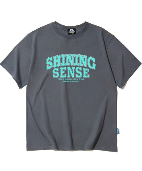TRIPSHION(トリップション)の「SHINING SENSE VARSITY LOGO Tシャツ - グレー(Tシャツ/カットソー・メンズ・その他・LARGE/MEDIUM/X-LARGE)」の1枚目の写真