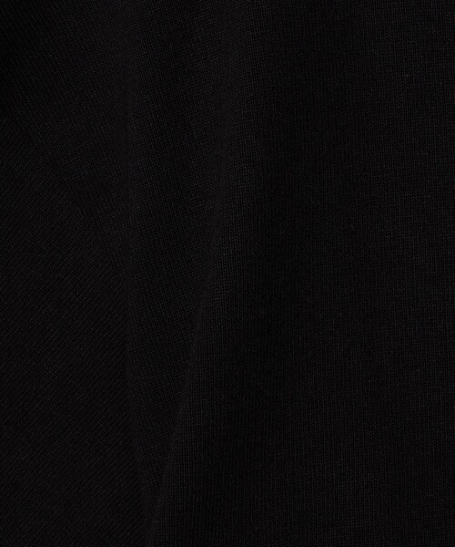 SAINT JAMES(セントジェームス)の「<SAINT JAMES>OUESSANT LOOSE/ルーズ ドロップ Tシャツ(Tシャツ/カットソー・メンズ・ライトグレー/ブラック・5/6/4)」の9枚目の写真