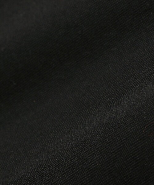 Ray BEAMS（レイビームス）の「Ray BEAMS / レース ツケエリ ハーフスリーブ Tシャツ（Tシャツ/カットソー・レディース・ホワイト/ブラック・ONE SIZE）」の22枚目の写真