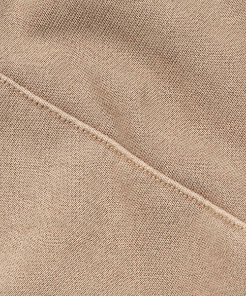 ADAMASTE（アダマスト）の「ヴィンテージライクロゴプリントパーカー（パーカー・メンズ・ブラック/ベージュ/ブルー/グレー・FREE）」の22枚目の写真