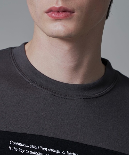 BROWNY(ブラウニー)の「BROWNY/ポンチカラーパネルT(Tシャツ/カットソー・メンズ・チャコールグレー/ホワイト・MEDIUM/LARGE)」の17枚目の写真