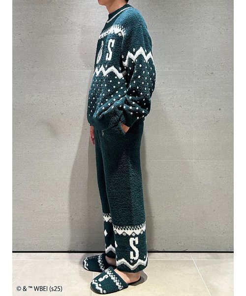 セール】【メンズ】【ハリー・ポッター】ニットプルオーバー（ルーム