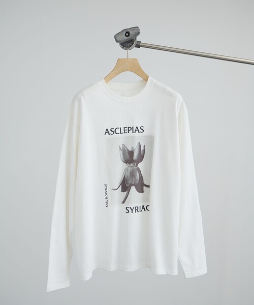 SALON adam et rope'（サロン アダム エ ロペ）の「【KARL BLOSSFELDT  by SALON】フォトロングスリーブTシャツ（Tシャツ/カットソー・レディース・チャコールグレー/グレー/ホワイト/ホワイト系その他・FREE）」の2枚目の写真