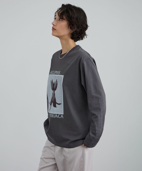 SALON adam et rope'（サロン アダム エ ロペ）の「【KARL BLOSSFELDT  by SALON】フォトロングスリーブTシャツ（Tシャツ/カットソー・レディース・チャコールグレー/グレー/ホワイト/ホワイト系その他・FREE）」の5枚目の写真