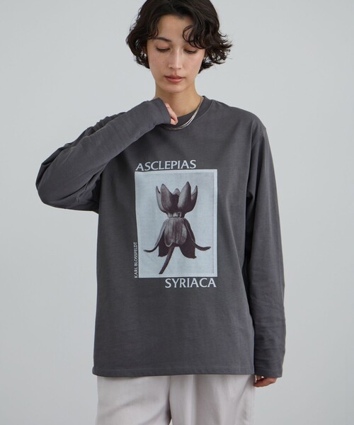 SALON adam et rope'（サロン アダム エ ロペ）の「【KARL BLOSSFELDT  by SALON】フォトロングスリーブTシャツ（Tシャツ/カットソー・レディース・チャコールグレー/グレー/ホワイト/ホワイト系その他・FREE）」の9枚目の写真