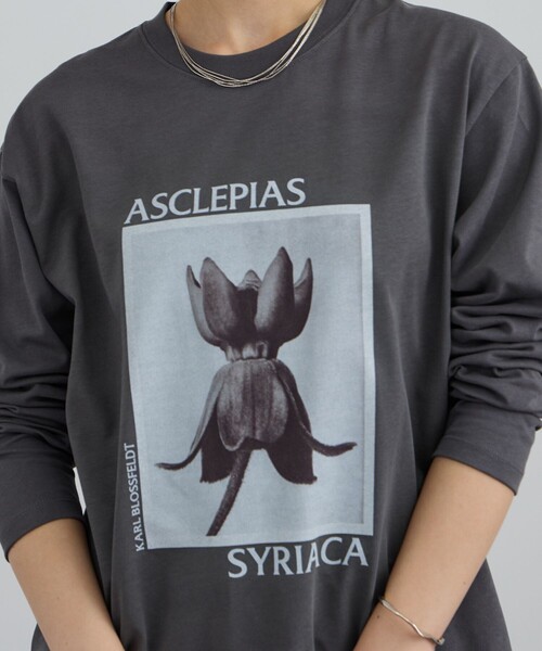 SALON adam et rope'（サロン アダム エ ロペ）の「【KARL BLOSSFELDT  by SALON】フォトロングスリーブTシャツ（Tシャツ/カットソー・レディース・チャコールグレー/グレー/ホワイト/ホワイト系その他・FREE）」の10枚目の写真
