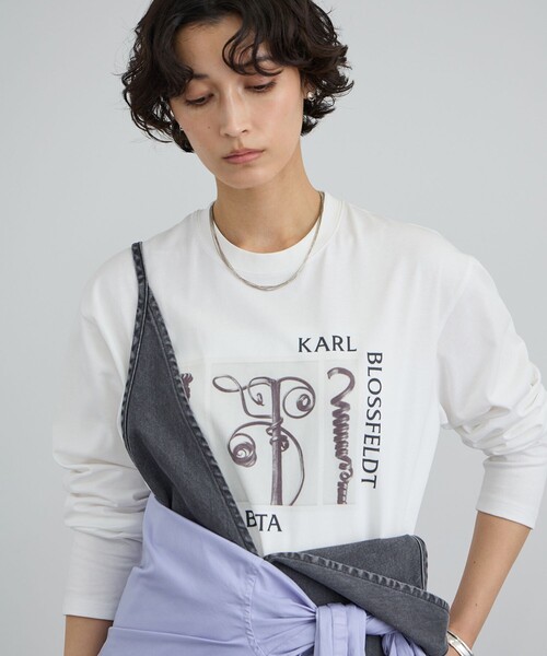 SALON adam et rope'（サロン アダム エ ロペ）の「【KARL BLOSSFELDT  by SALON】フォトロングスリーブTシャツ（Tシャツ/カットソー・レディース・チャコールグレー/グレー/ホワイト/ホワイト系その他・FREE）」の13枚目の写真