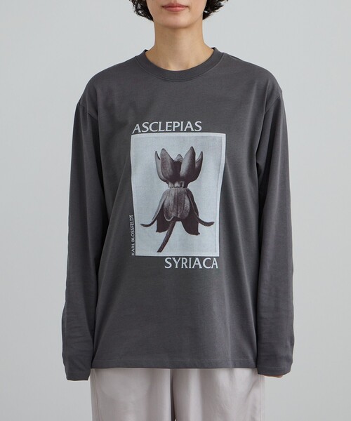 SALON adam et rope'（サロン アダム エ ロペ）の「【KARL BLOSSFELDT  by SALON】フォトロングスリーブTシャツ（Tシャツ/カットソー・レディース・チャコールグレー/グレー/ホワイト/ホワイト系その他・FREE）」の14枚目の写真