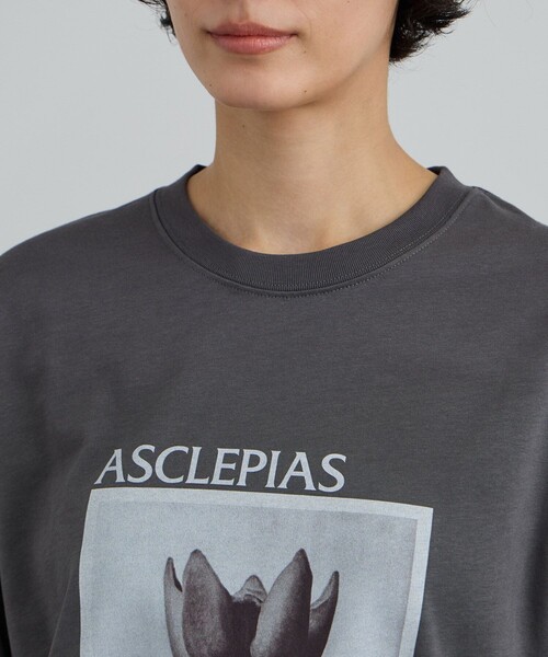 SALON adam et rope'（サロン アダム エ ロペ）の「【KARL BLOSSFELDT  by SALON】フォトロングスリーブTシャツ（Tシャツ/カットソー・レディース・チャコールグレー/グレー/ホワイト/ホワイト系その他・FREE）」の17枚目の写真