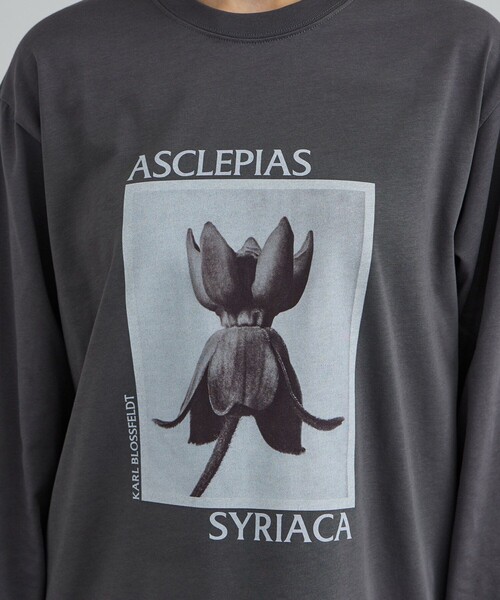 SALON adam et rope'（サロン アダム エ ロペ）の「【KARL BLOSSFELDT  by SALON】フォトロングスリーブTシャツ（Tシャツ/カットソー・レディース・チャコールグレー/グレー/ホワイト/ホワイト系その他・FREE）」の18枚目の写真
