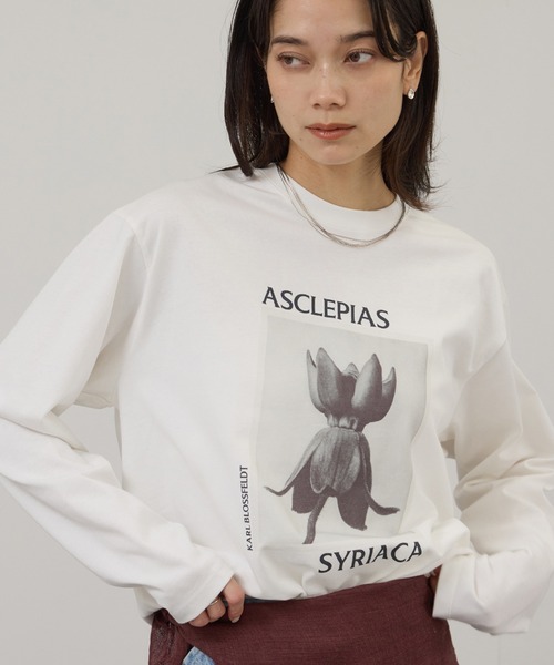 SALON adam et rope'(サロン アダム エ ロペ)の「【KARL BLOSSFELDT by SALON】フォトロングスリーブTシャツ(Tシャツ/カットソー・レディース・チャコールグレー/グレー/ホワイト/ホワイト系その他・FREE)」の2枚目の写真