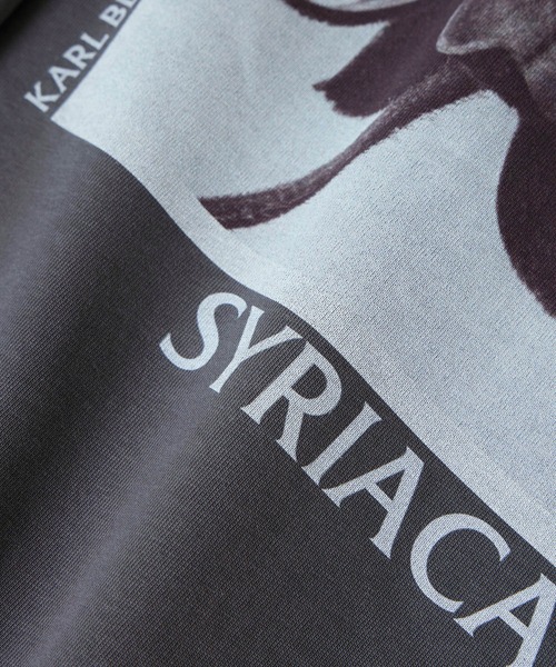 SALON adam et rope'（サロン アダム エ ロペ）の「【KARL BLOSSFELDT  by SALON】フォトロングスリーブTシャツ（Tシャツ/カットソー・レディース・チャコールグレー/グレー/ホワイト/ホワイト系その他・FREE）」の21枚目の写真