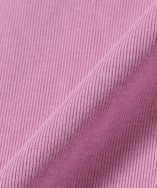 Ray BEAMS(レイビームス)の「【別注】PICCADILLY / リブ Tシャツ(Tシャツ/カットソー・レディース・レッド/ブラウン/プラム・ONE SIZE)」の22枚目の写真