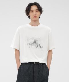 セール】フラワープリントTシャツ/デイジー（Tシャツ/カットソー