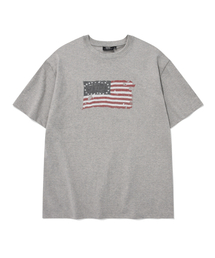 US FLAG SHORT SLEEVES (GRAY)