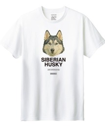 Moftique(モフティック) 半袖Tシャツ シベリアンハスキー 犬 アニマル プリント 5.6オンス カットソー メンズ ユニセックス