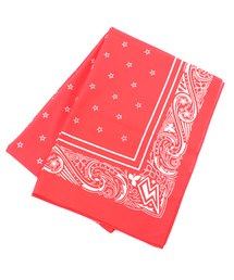 X-girl | BANDANA STOLE(ストール/ショール)