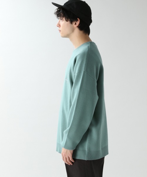 RAGEBLUE(レイジブルー)の「ワンポイント刺繍ニットクルー/934868(ニット/セーター・メンズ・オフホワイト/ライトグリーン/ピンク・FREE)」の14枚目の写真