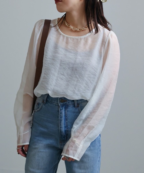 ap retro(アプレトロ)の「シアーブラウス / デザインスリーブプルオーバー(シャツ/ブラウス・レディース・アイボリー/ブラック/ベージュ・FREE)」の18枚目の写真