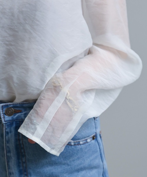 ap retro(アプレトロ)の「シアーブラウス / デザインスリーブプルオーバー(シャツ/ブラウス・レディース・アイボリー/ブラック/ベージュ・FREE)」の19枚目の写真