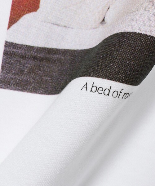 Ray BEAMS(レイビームス)の「Available Today × Ray BEAMS / 別注 Mini Photo Tシャツ(Tシャツ/カットソー・レディース・サックスブルー/ホワイト/レッド・ONE SIZE)」の10枚目の写真