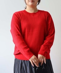 【L~5L 大きいサイズ】ワイドリブクルーネックプルオーバー