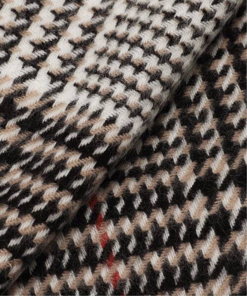 JOURNAL STANDARD relume（ジャーナルスタンダード　レリューム）の「《追加》アクリルチェックストール（マフラー・レディース・ネイビー/ブラウン系その他/レッド/ブラウン・FREE）」の19枚目の写真