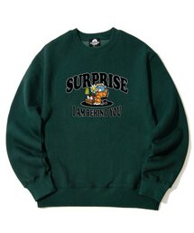 サプライズデュオグラフィック クルーネック - グリーン