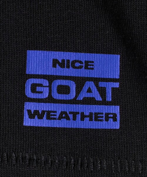 NICE WEATHER(ナイスウェザー)の「【別注】<GOAT>2パック Tシャツ/WOMENS(Tシャツ/カットソー・レディース・ホワイト・FREE)」の10枚目の写真