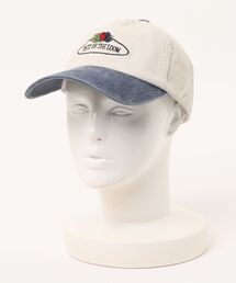 FRUIT OF THE LOOM(�t���[�c�I�u�U���[��)�́yFRUIT OF THE LOOM�zFTL EX CIRCLE OLDLOGO PIGMENT CAP(�L���b�v)
