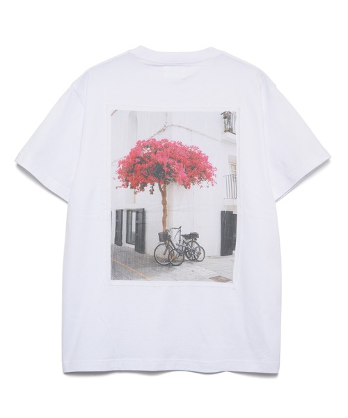 SEAGREEN(シーグリーン)の「SEAGREEN(シーグリーン) 40/2 SOFT JERSEY T-SHIRT(Tシャツ/カットソー・メンズ・オレンジ/ホワイト・4/2/3/1)」の2枚目の写真
