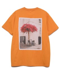 SEAGREEN(シーグリーン) 40/2 SOFT JERSEY T-SHIRT