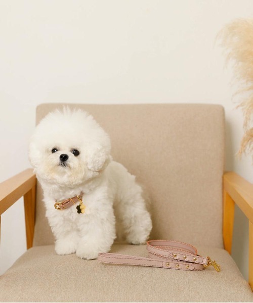 moncheri(モンシェリ)の「なみなみフラワーチャームレザーカラー / 犬服 / ドッグウェア(リード/ハーネス/首輪・レディース・ベージュ/ピンク/アイボリー・M/S)」の13枚目の写真