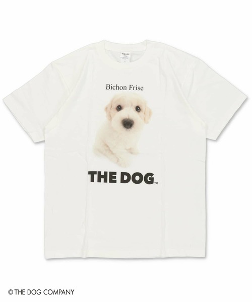 SPINNS(スピンズ)の「『THE DOG 第一弾』Tシャツ(Tシャツ/カットソー・レディース・その他8/その他10/その他13/その他19/その他22/その他24/その他4/その他7/その他9/その他12/その他20/その他21/その他23/その他6/その他14/その他15/その他16/その他17/その他18/その他25/その他26/その他27/その他28/その他29/その他1/その他2/その他3/その他5/その他11/その他30・ONESIZE)」の7枚目の写真