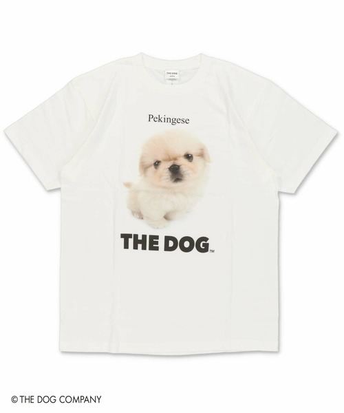 SPINNS(スピンズ)の「『THE DOG 第一弾』Tシャツ(Tシャツ/カットソー・レディース・その他8/その他10/その他13/その他19/その他22/その他24/その他4/その他7/その他9/その他12/その他20/その他21/その他23/その他6/その他14/その他15/その他16/その他17/その他18/その他25/その他26/その他27/その他28/その他29/その他1/その他2/その他3/その他5/その他11/その他30・ONESIZE)」の8枚目の写真
