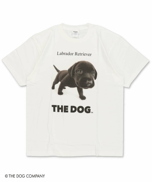 SPINNS(スピンズ)の「『THE DOG 第一弾』Tシャツ(Tシャツ/カットソー・レディース・その他8/その他10/その他13/その他19/その他22/その他24/その他4/その他7/その他9/その他12/その他20/その他21/その他23/その他6/その他14/その他15/その他16/その他17/その他18/その他25/その他26/その他27/その他28/その他29/その他1/その他2/その他3/その他5/その他11/その他30・ONESIZE)」の9枚目の写真